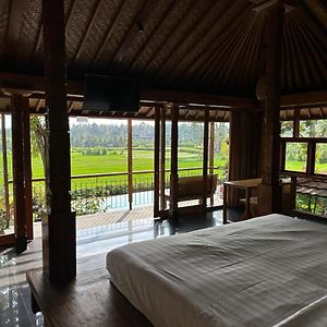 Suite Garden View